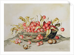 Basket of cherries, 1998 by Amelia Kleiser