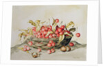 Basket of cherries, 1998 by Amelia Kleiser