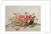 Basket of cherries, 1998 by Amelia Kleiser