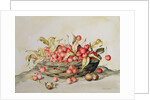 Basket of cherries, 1998 by Amelia Kleiser