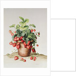 Strawberries in a pot, 1998 by Amelia Kleiser