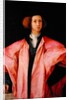 Portrait of a Young Man by Jacopo Pontormo