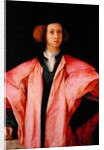 Portrait of a Young Man by Jacopo Pontormo