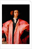 Portrait of a Young Man by Jacopo Pontormo