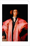 Portrait of a Young Man by Jacopo Pontormo