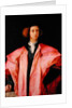Portrait of a Young Man by Jacopo Pontormo