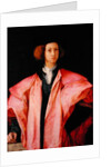Portrait of a Young Man by Jacopo Pontormo