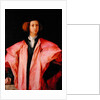Portrait of a Young Man by Jacopo Pontormo