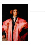 Portrait of a Young Man by Jacopo Pontormo