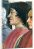 Lorenzo Medic by Domenico (1449-94) Ghirlandaio