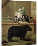 The Rhinoceros, 1751 by Pietro Longhi