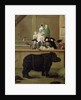 The Rhinoceros, 1751 by Pietro Longhi