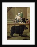 The Rhinoceros, 1751 by Pietro Longhi