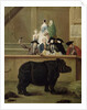 The Rhinoceros, 1751 by Pietro Longhi