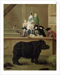 The Rhinoceros, 1751 by Pietro Longhi
