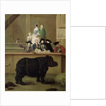 The Rhinoceros, 1751 by Pietro Longhi