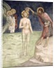 Baptism of Christ, from a series of Scenes of the New Testament by Barna da Siena