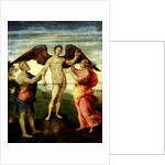 Icarus by Andrea del Sarto