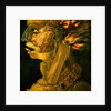 Fire, 1566 by Giuseppe Arcimboldo
