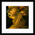 Fire, 1566 by Giuseppe Arcimboldo