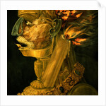 Fire, 1566 by Giuseppe Arcimboldo