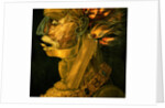 Fire, 1566 by Giuseppe Arcimboldo