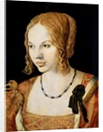 Young Venetian Woman by Albrecht Dürer or Duerer
