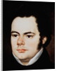 Franz Peter Schubert by Austrian School