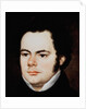 Franz Peter Schubert by Austrian School