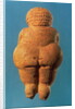 The Venus of Willendorf, 30000-25000 BC by Prehistoric Prehistoric