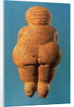 The Venus of Willendorf, 30000-25000 BC by Prehistoric Prehistoric