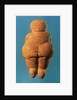 The Venus of Willendorf, 30000-25000 BC by Prehistoric Prehistoric