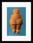 The Venus of Willendorf, 30000-25000 BC by Prehistoric Prehistoric