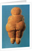 The Venus of Willendorf, 30000-25000 BC by Prehistoric Prehistoric