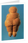 The Venus of Willendorf, 30000-25000 BC by Prehistoric Prehistoric