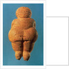 The Venus of Willendorf, 30000-25000 BC by Prehistoric Prehistoric