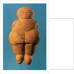 The Venus of Willendorf, 30000-25000 BC by Prehistoric Prehistoric