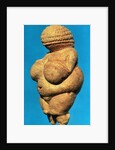 The Venus of Willendorf, side view, c.30000-18000 BC by Prehistoric Prehistoric