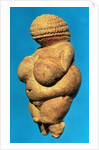 The Venus of Willendorf, side view, c.30000-18000 BC by Prehistoric Prehistoric