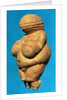 The Venus of Willendorf, side view, c.30000-18000 BC by Prehistoric Prehistoric