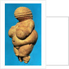 The Venus of Willendorf, side view, c.30000-18000 BC by Prehistoric Prehistoric
