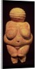 The Venus of Willendorf, 30000-25000 BC by Prehistoric Prehistoric