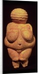 The Venus of Willendorf, 30000-25000 BC by Prehistoric Prehistoric