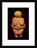 The Venus of Willendorf, 30000-25000 BC by Prehistoric Prehistoric