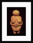 The Venus of Willendorf, 30000-25000 BC by Prehistoric Prehistoric