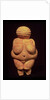 The Venus of Willendorf, 30000-25000 BC by Prehistoric Prehistoric