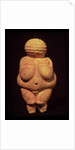 The Venus of Willendorf, 30000-25000 BC by Prehistoric Prehistoric