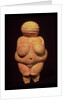 The Venus of Willendorf, 30000-25000 BC by Prehistoric Prehistoric