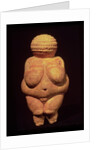 The Venus of Willendorf, 30000-25000 BC by Prehistoric Prehistoric