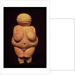 The Venus of Willendorf, 30000-25000 BC by Prehistoric Prehistoric